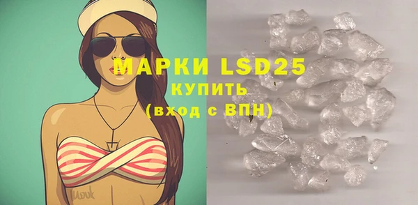 ГАЛЛЮЦИНОГЕННЫЕ ГРИБЫ Корсаков