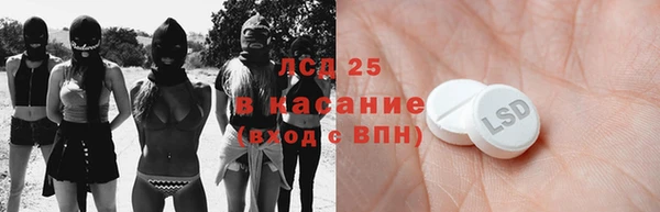 ГАЛЛЮЦИНОГЕННЫЕ ГРИБЫ Корсаков