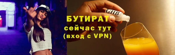 ГАЛЛЮЦИНОГЕННЫЕ ГРИБЫ Корсаков