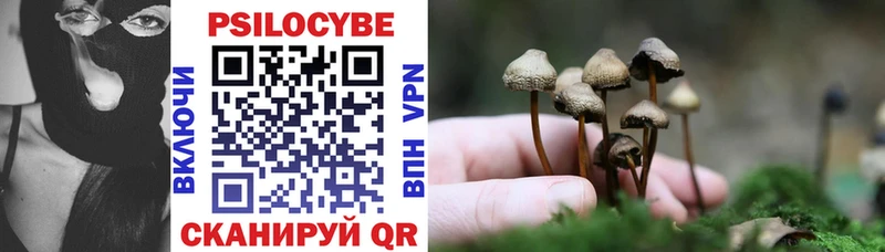 Галлюциногенные грибы GOLDEN TEACHER  купить наркотик  Черепаново 